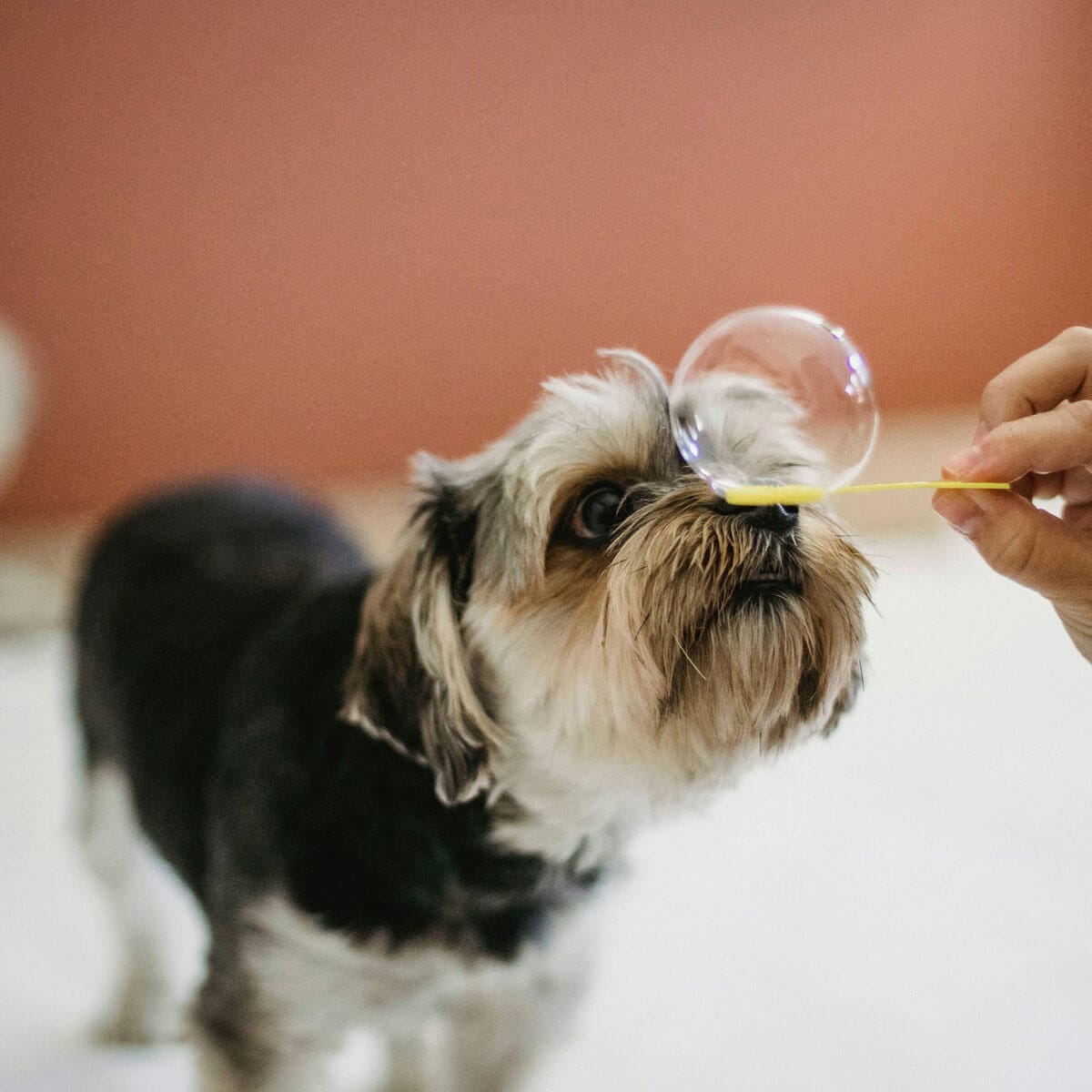 Paciencia y delicadeza: porque su tranquilidad es nuestra prioridad.